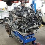 euro-tech-automotive-engine-repair Euro-Tech Engine Repair